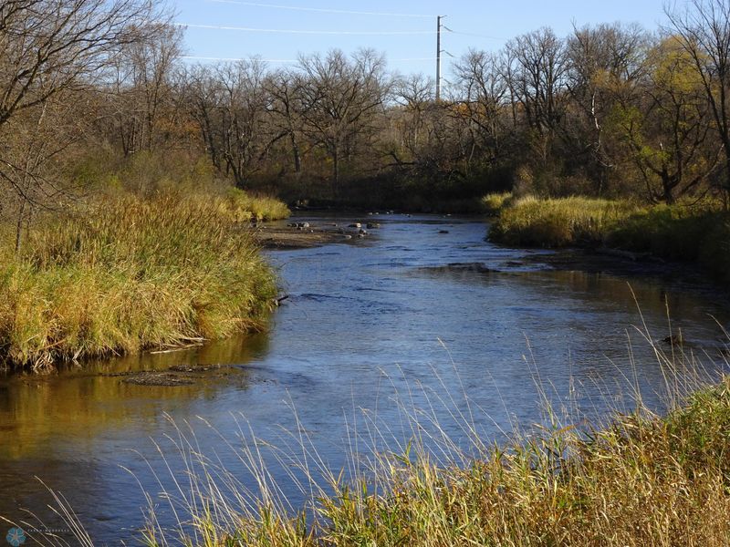 TBD 170th Ave, Fergus Falls, MN 56537