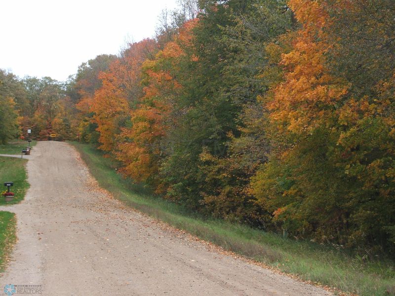 11055 Maple Ave, Frazee, MN 56544