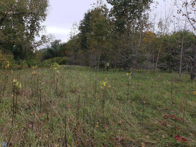 LOT 2 Flicker Ln, Ottertail, MN 56571