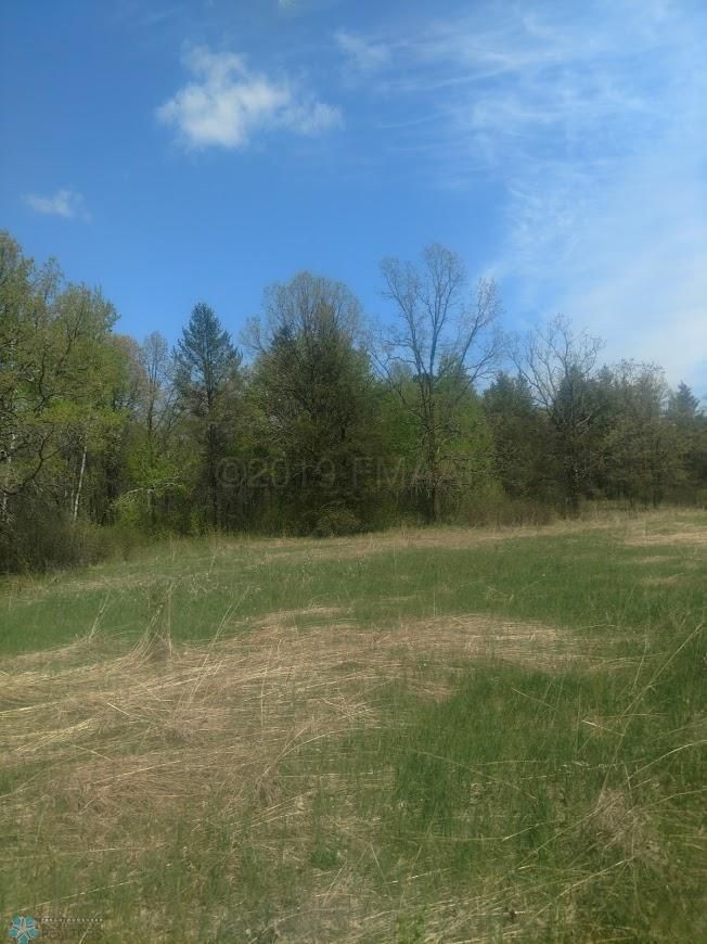 XXX River Rd, Pine River, MN 56474