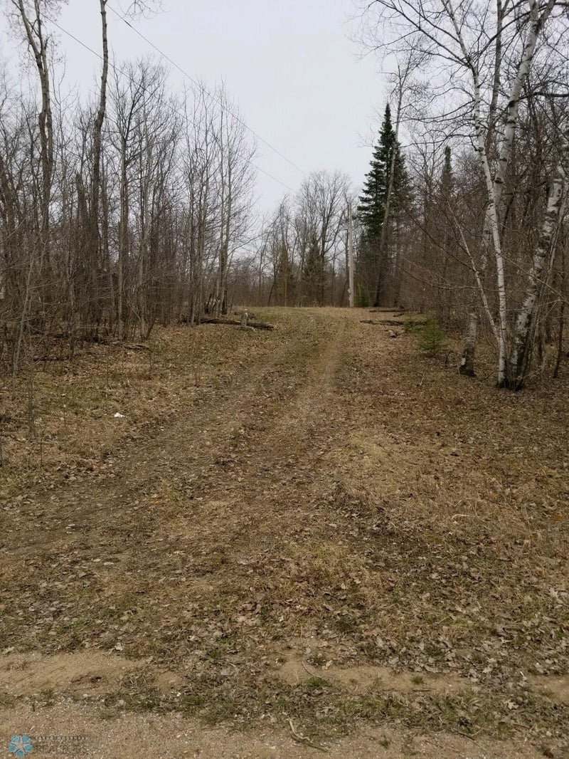 33467 330th Ave, Ogema, MN 56569