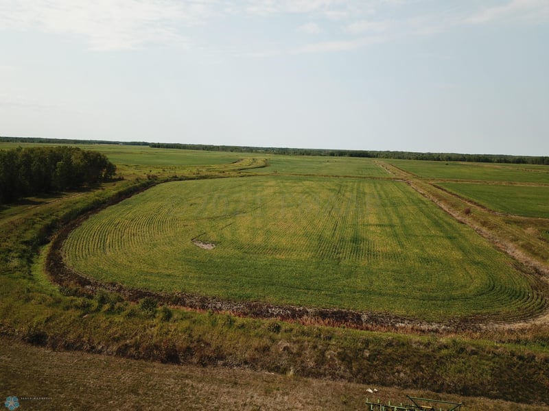 5987 Wild Rice Rd SW, Baudette, MN 56623