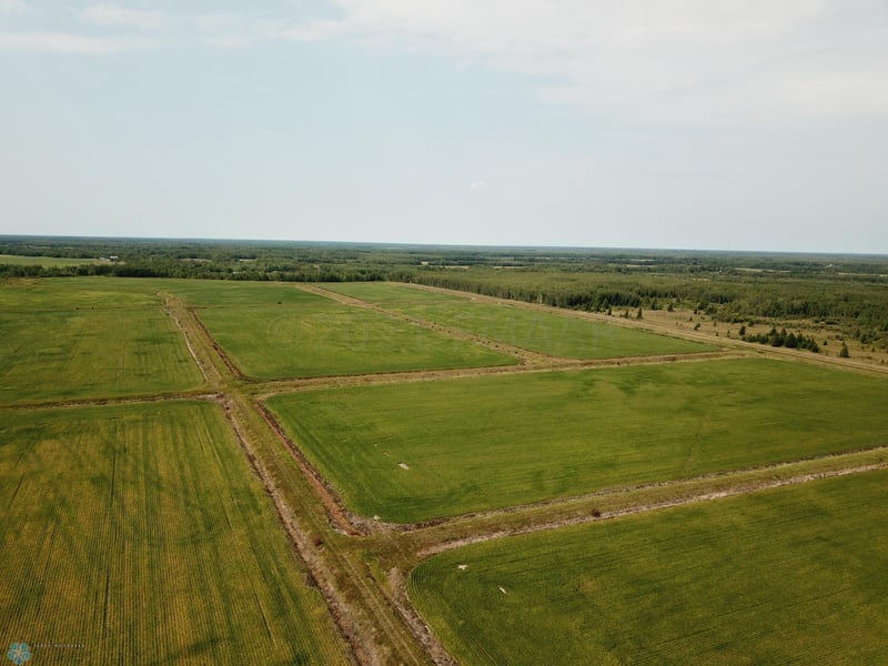 5987 Wild Rice Rd SW, Baudette, MN 56623