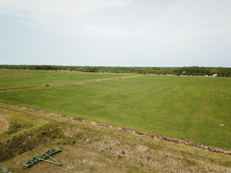 5987 Wild Rice Rd SW, Baudette, MN 56623
