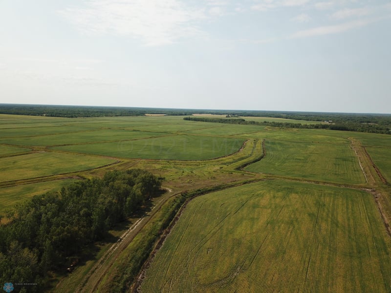 5987 Wild Rice Rd SW, Baudette, MN 56623
