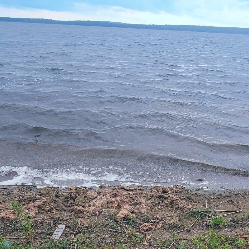 2972 Twin Rd, Naytahwaush, MN 56566