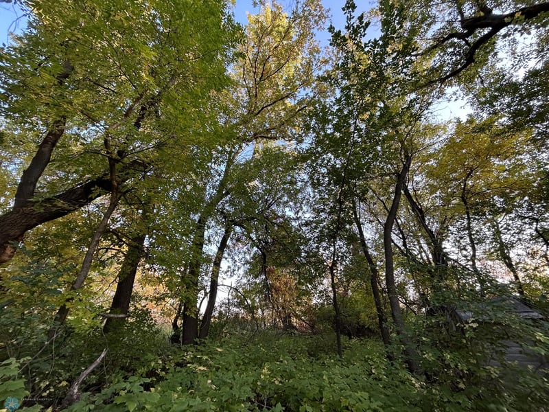6376 32 Way N, Hitterdal, MN 56552