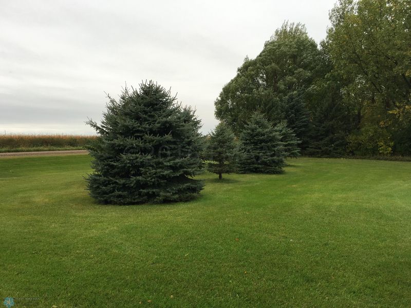 12610 100th Ave N, Felton, MN 56536