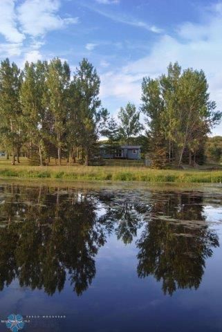 42108 Spitzer Lake Trl, Clitherall, MN 56524