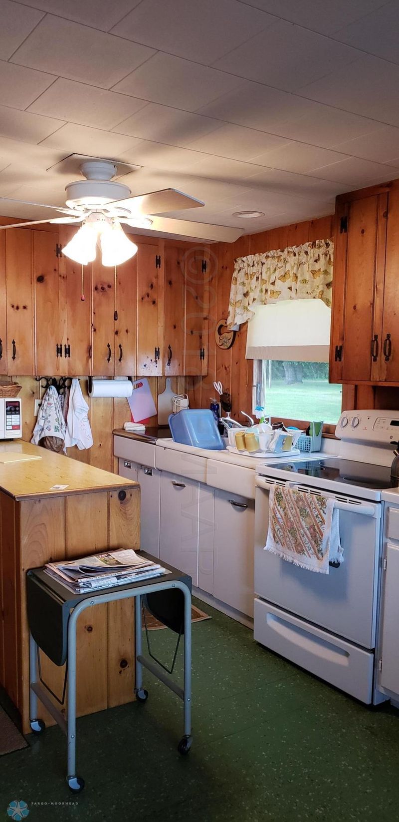 39295 Clearmont Rd, Battle Lake, MN 56515