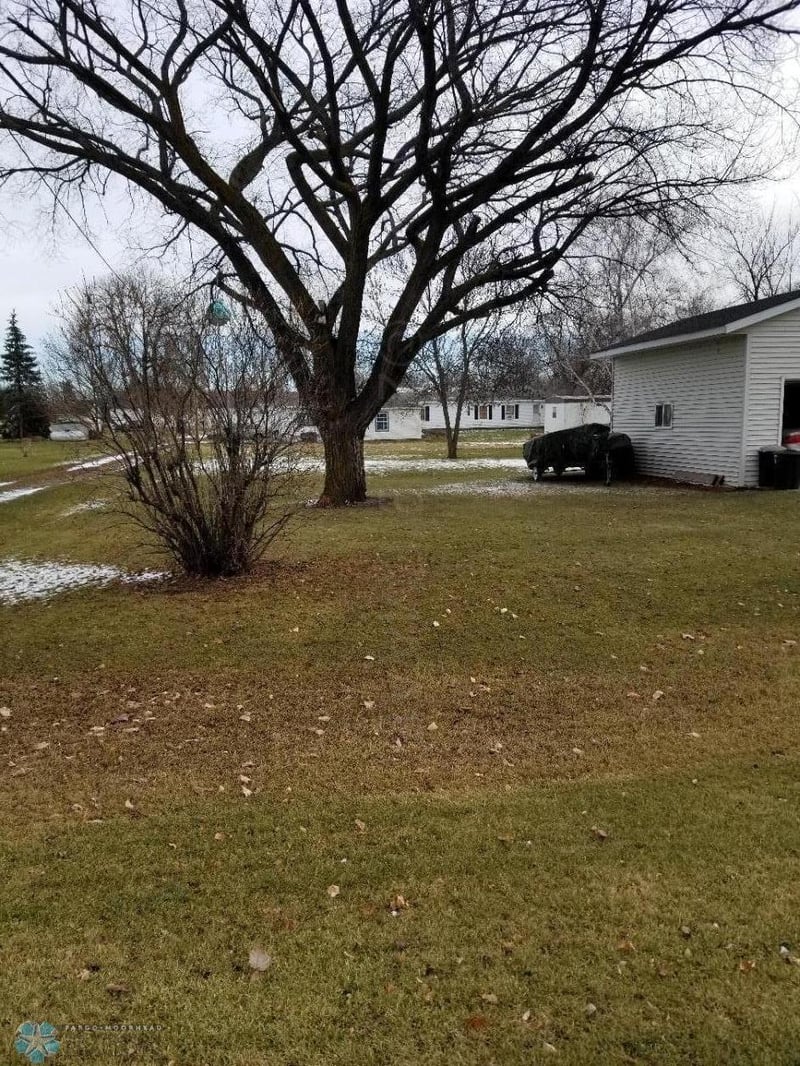 243 Quincy St, Hendrum, MN 56550