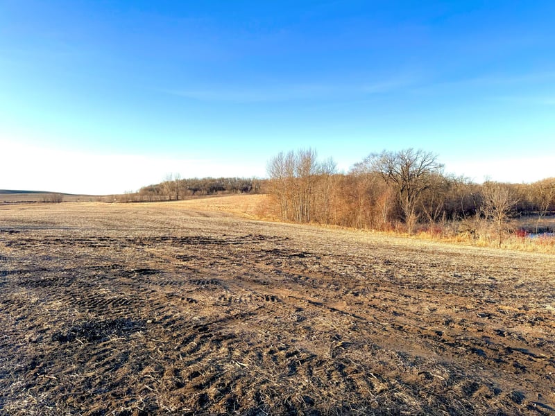 TBD-Parcel 4 160th St, Clitherall, MN 56524