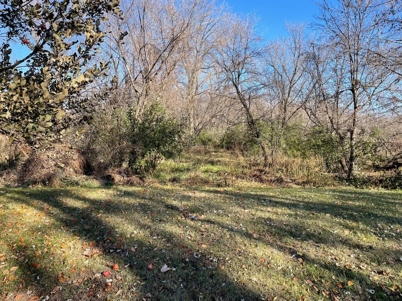 36598 Csah 2, Watkins, MN 55389