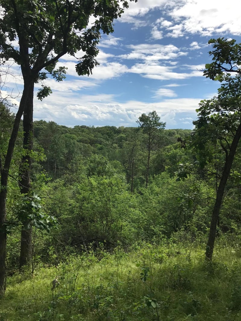 xxx Tanglewood Ln, Marine On Saint Croix, MN 55047