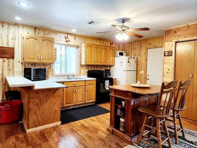 27256 Cr 52, Bigfork, MN 56628