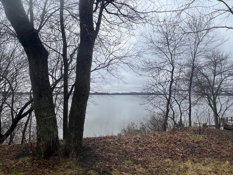 111 N Shore Dr, Elysian, MN 56028