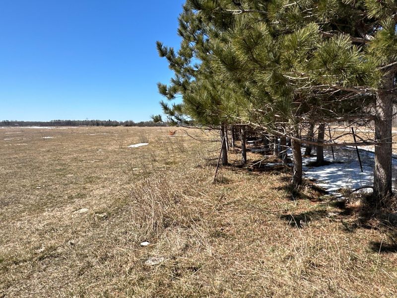 XXX 62nd St SW, Staples, MN 56479