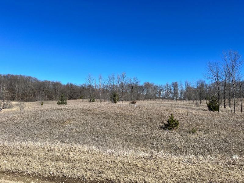 TBD Borah Rd, Detroit Lakes, MN 56501