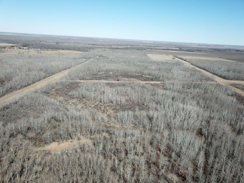 TBD 110th Ave, Greenbush, MN 56726