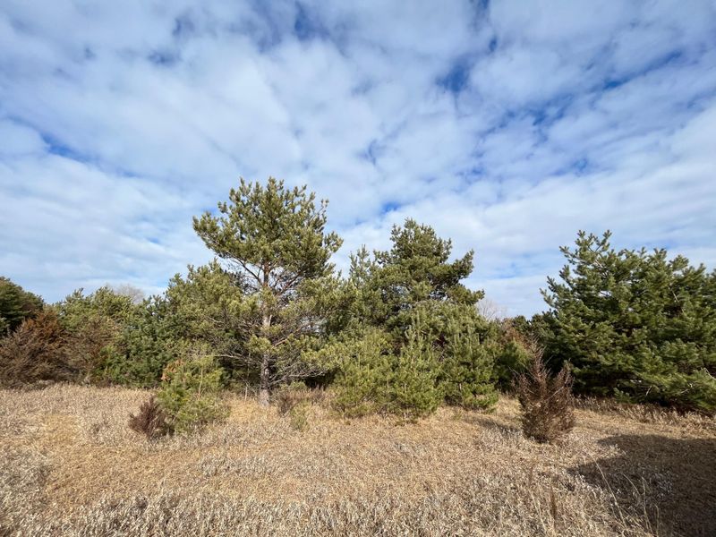 8174 159th Ln NW, Ramsey, MN 55303