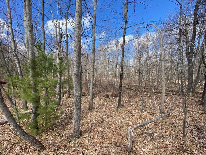 0 E Lakewood Dr, Gordon, WI 54838
