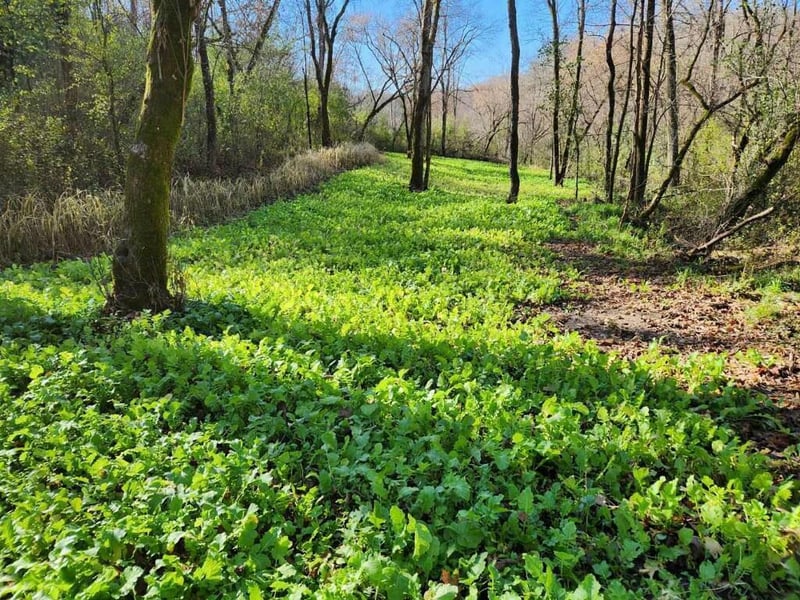 0 County Rd G, Arcadia, WI 54612