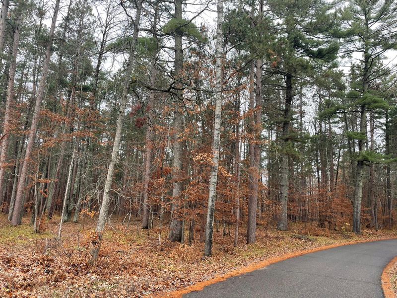 Tract A TBD Driftwood Ln, Pine River, MN 56474