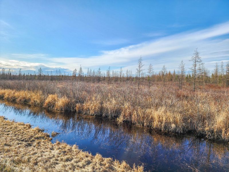 TBD Town Line Rd, Iron, MN 55751
