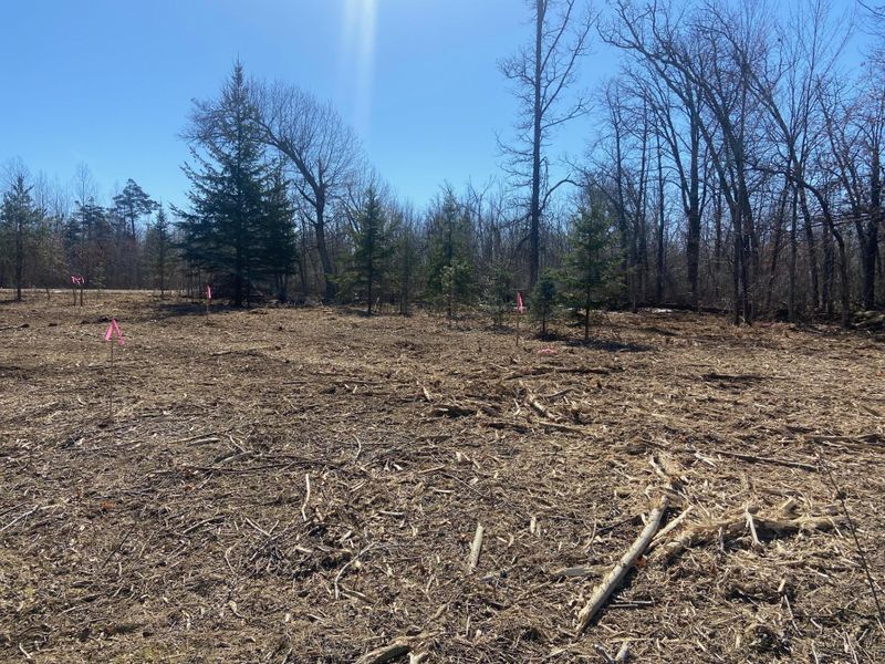 Lot 12 N Sixth Ave, Danbury, WI 54830
