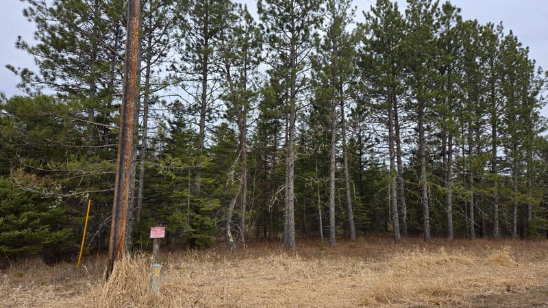 3901 Ollila Rd, Orr, MN 55771