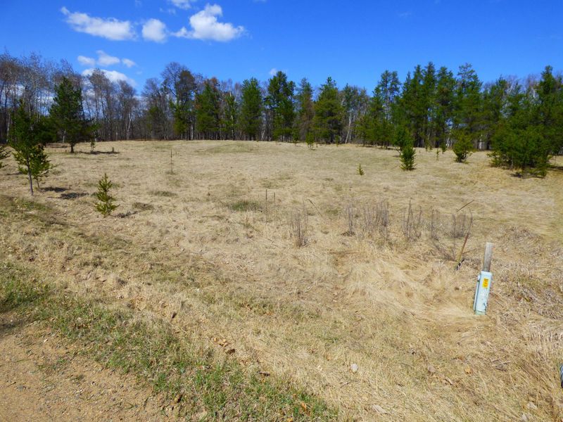 LOT 12 Tbd Logging Ln, Breezy Point, MN 56472