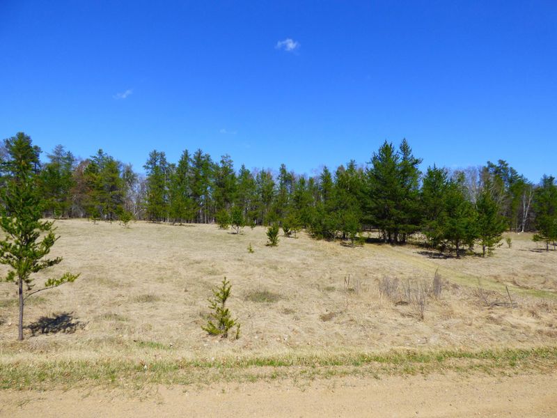 LOT 12 Tbd Logging Ln, Breezy Point, MN 56472