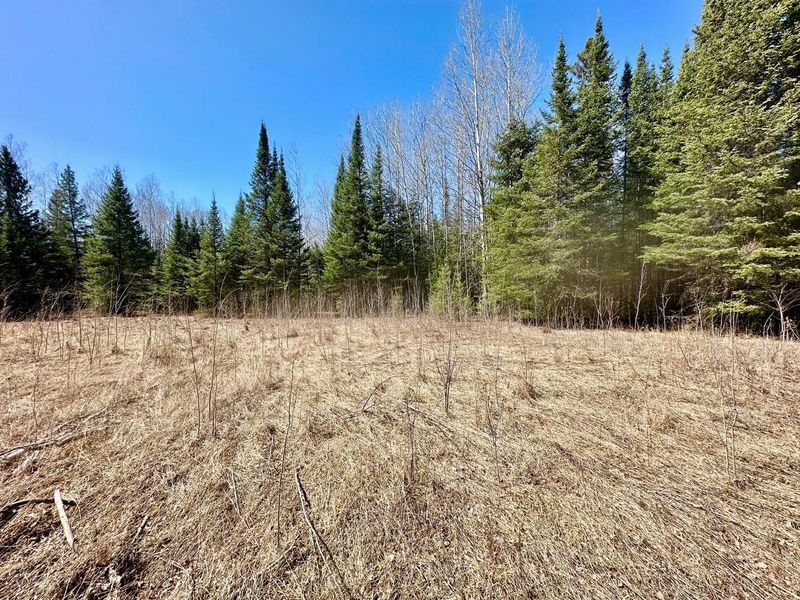 Tbd State Highway 6, Deer River, MN 56636