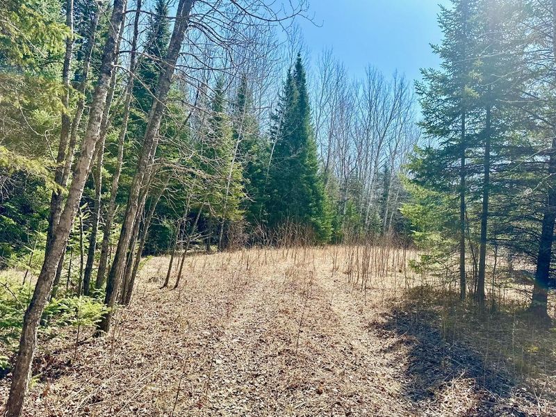 Tbd State Highway 6, Deer River, MN 56636