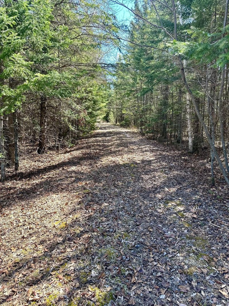 Tbd State Highway 6, Deer River, MN 56636