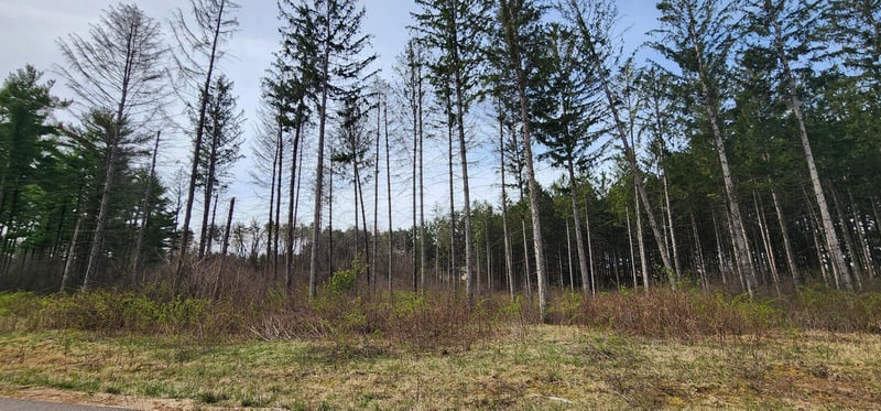 XXX Lot 12 Shire Ln, Trempealeau, WI 54661