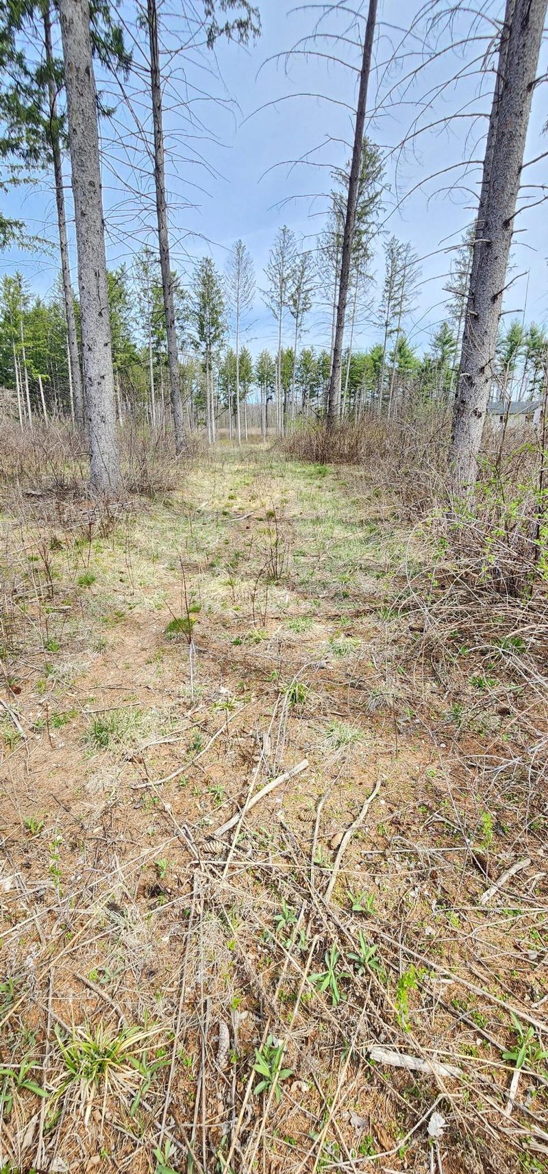 XXX Lot 12 Shire Ln, Trempealeau, WI 54661