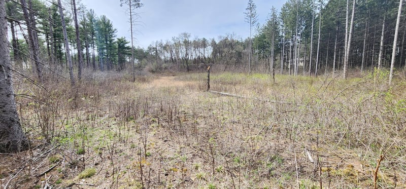 XXX Lot 12 Shire Ln, Trempealeau, WI 54661