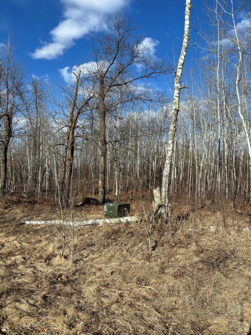TBA Margo Way, Bemidji, MN 56601