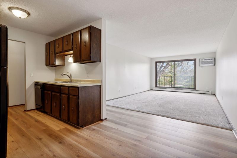 215 Barry Ave S #211, Wayzata, MN 55391