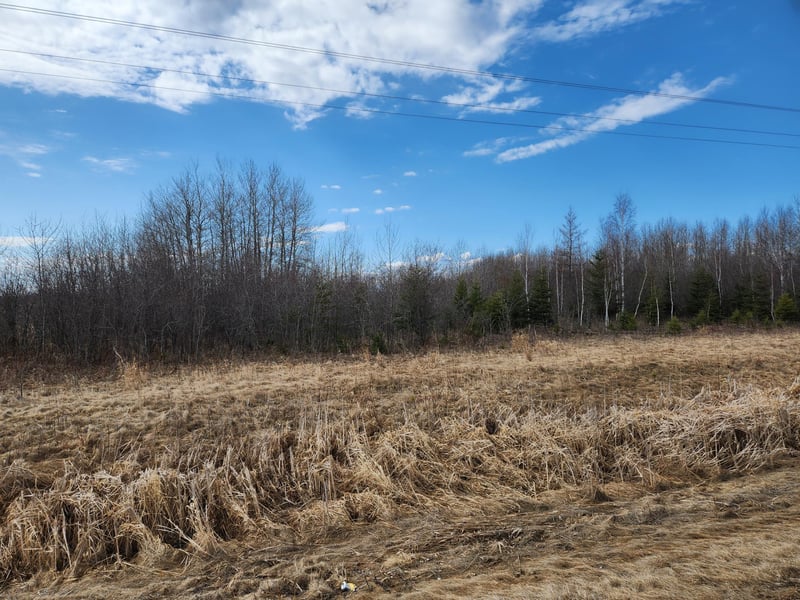 TBD N 510th Ave, Salol, MN 56756