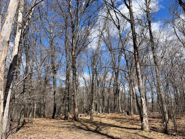 300 241st Ln NE, East Bethel, MN 55005