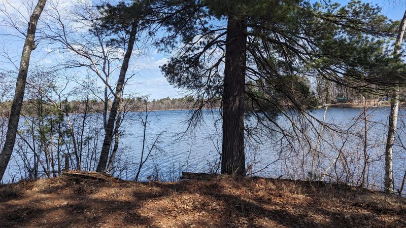 1218 Blue Heron Dr, Pine River, MN 56474
