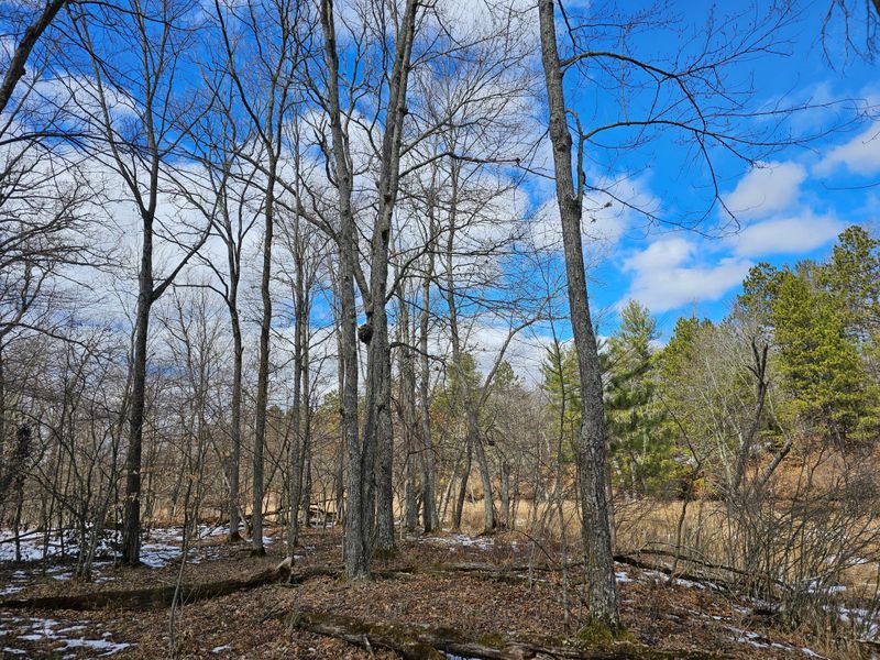 Lot 4 Twin Lake Rd, Siren, WI 54872