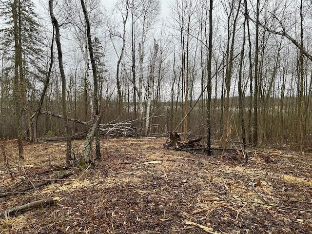 TBD Minnesota St, Northome, MN 56661