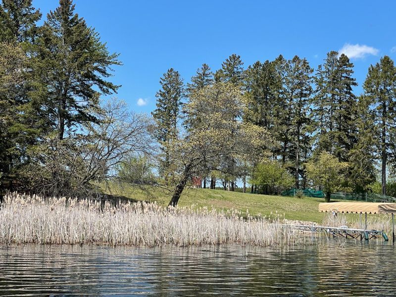 6504 Whitetail Rd NE, Bemidji, MN 56601