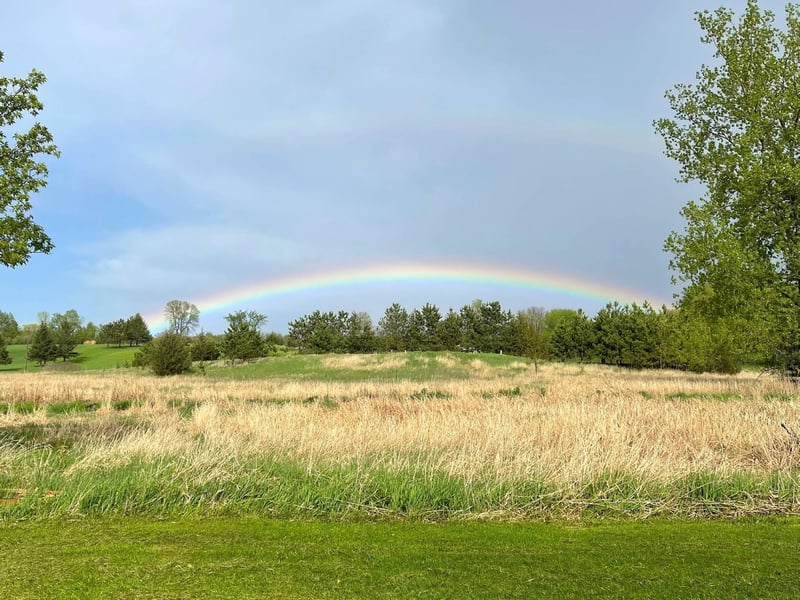 6350 Sunnyfield Rd E, Minnetrista, MN 55364