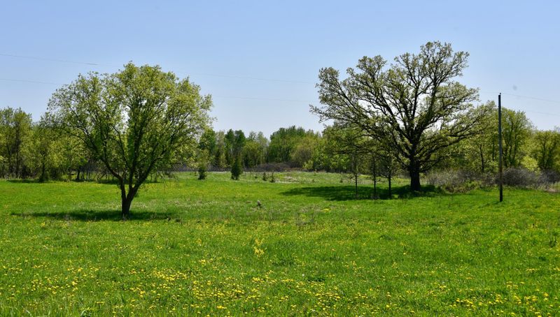7441 Cedar Rd, Milaca, MN 56353