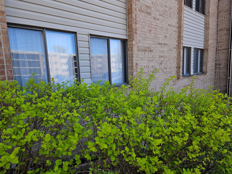 1855 Silver Bell Rd #113, Eagan, MN 55122