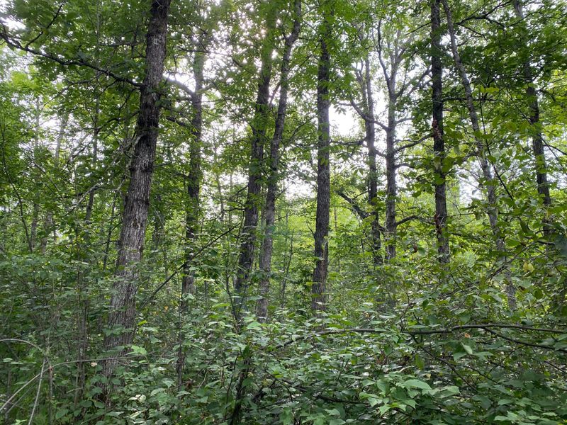 4750 Split Rock Rd, Sturgeon Lake, MN 55783
